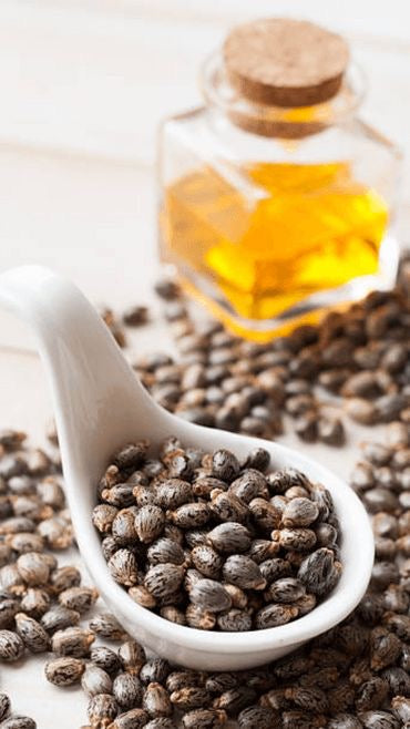 L'Huile de Ricin : Le Secret Naturel pour des Cheveux Sublimes